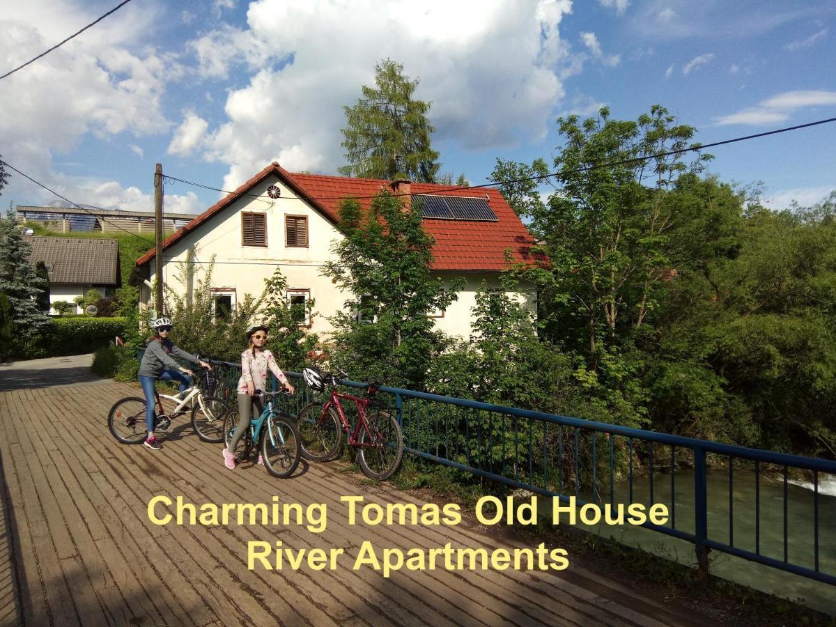 Tomas Old House - River Apartments Visoko  Extérieur photo